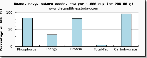 phosphorus and nutritional content in navy beans